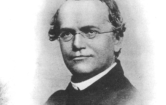 Gregor Mendel Je Posthumno Priznat Za Oca Genetike